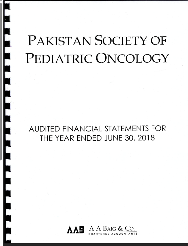 2018 Audit Report