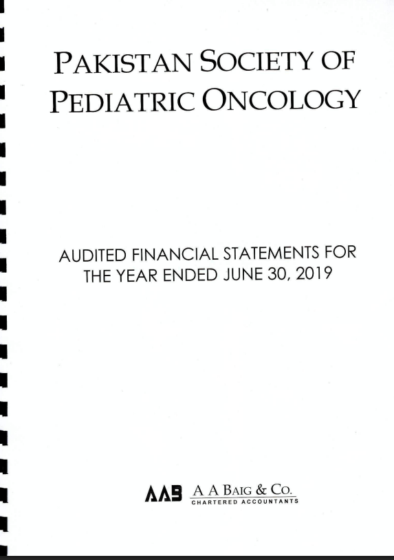 2019 Audit Report