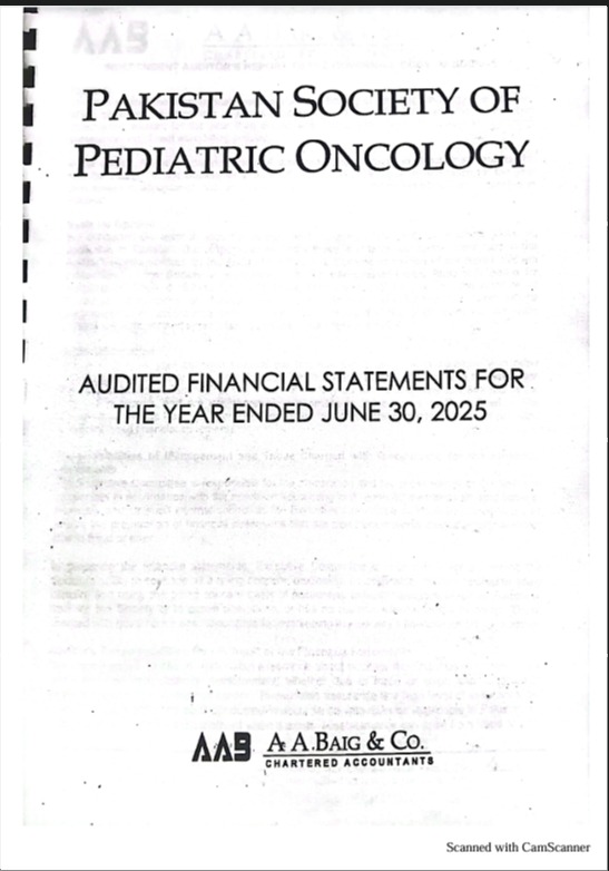 Audit Report 2025